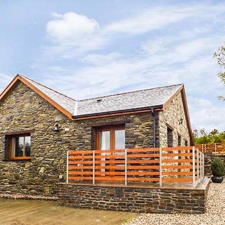 Villa Y Bwthyn, Ystrad Meurig Extérieur photo